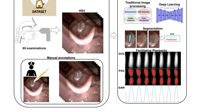 Deep Learning and Vocal Fold Analysis: The Role of the GIRAFE Dataset