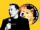 DOGE Gains Momentum as Musk, Ramaswamy Unveil Game-Changing Reform Proposals