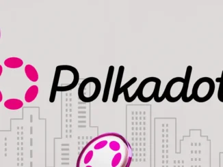 Polkadot Ventures