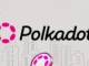 Polkadot Ventures