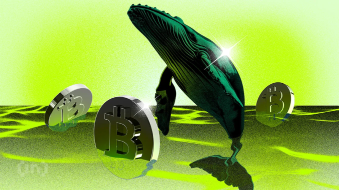 12‑Year‑Silent Bitcoin Wallet Moves $324 Million—What Are the Old Whales Indicating?